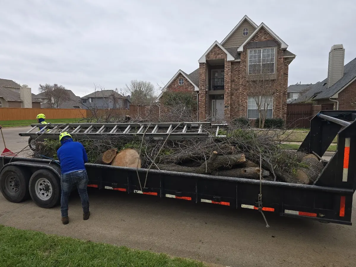 Expert Lot Clearing with proper safety equipment in Cornell